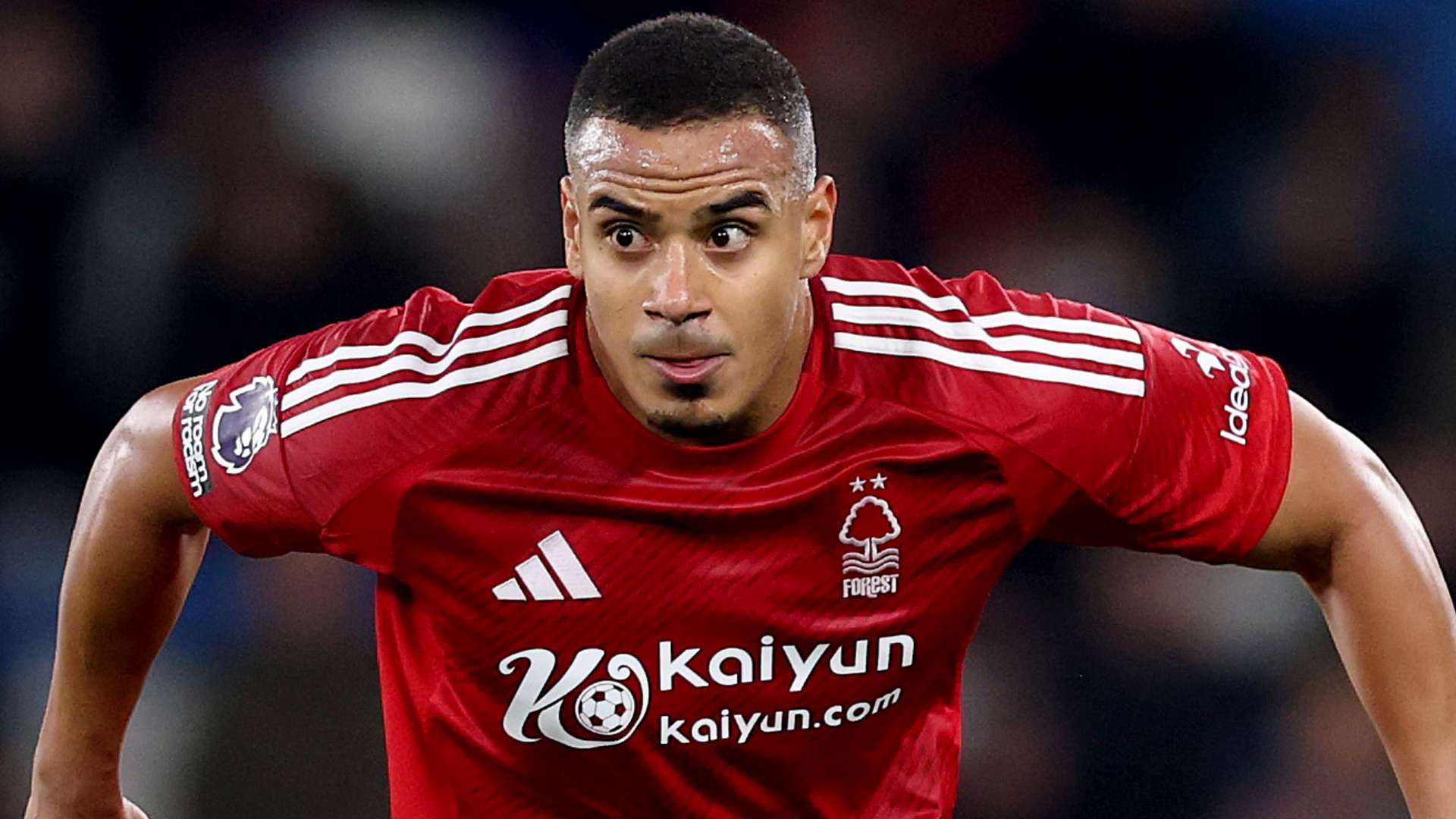 这对任何试 这对任何试