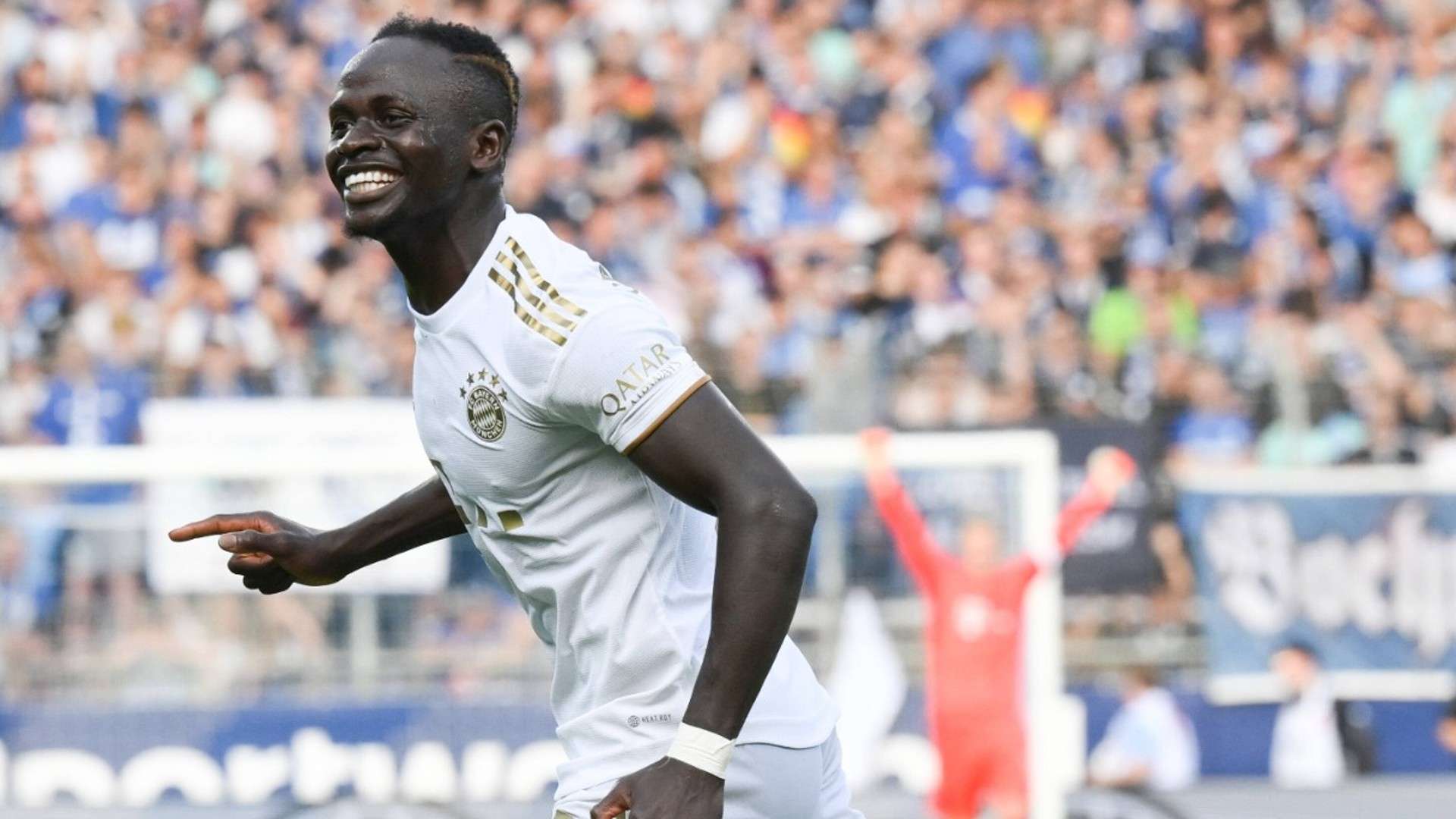 种新的参考 种新的参考