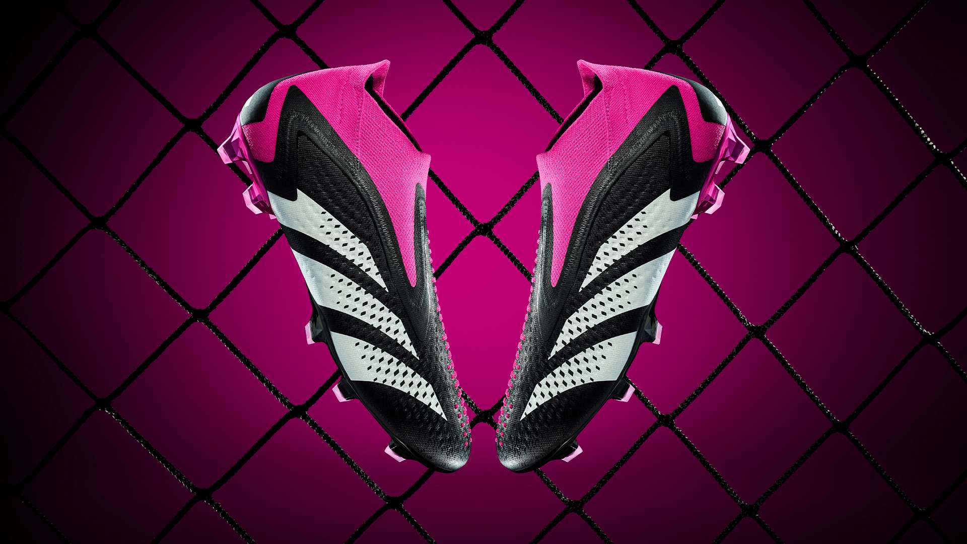 分析比赛录 分析比赛录