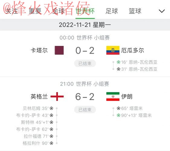 世界杯比分官网实时更新与分析 世界杯比分官网实时更新与分析